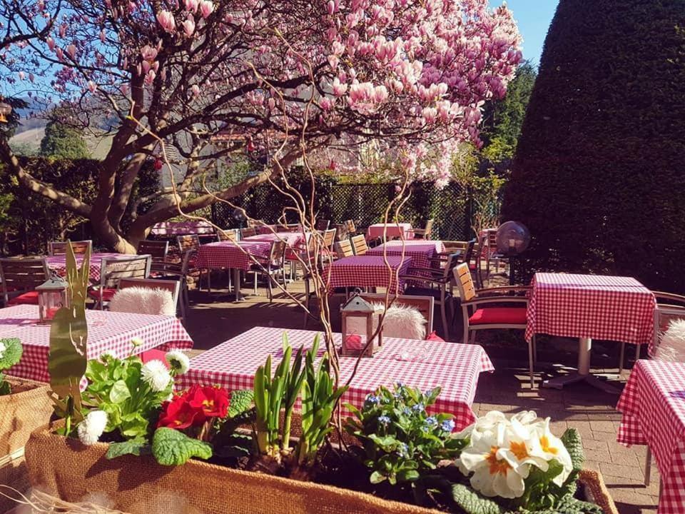 Hotel Restaurant Aux Sapins Thann Dış mekan fotoğraf