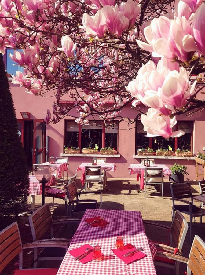 Hotel Restaurant Aux Sapins Thann Dış mekan fotoğraf