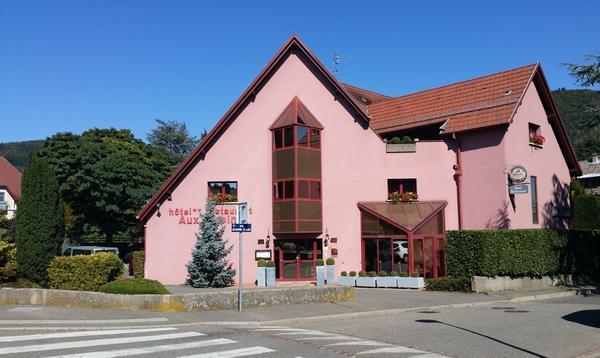 Hotel Restaurant Aux Sapins Thann Dış mekan fotoğraf